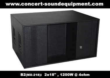 Line Array Speaker / 2x18" Horn Loaded 4ohm 1200W Subwoofer For Concert , Disco And Club