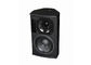 250W Pro DJ Sound System