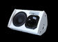 250W Pro DJ Sound System